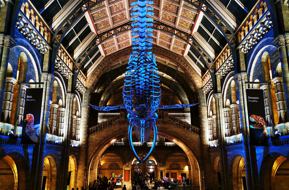 London_Sciences_Museum